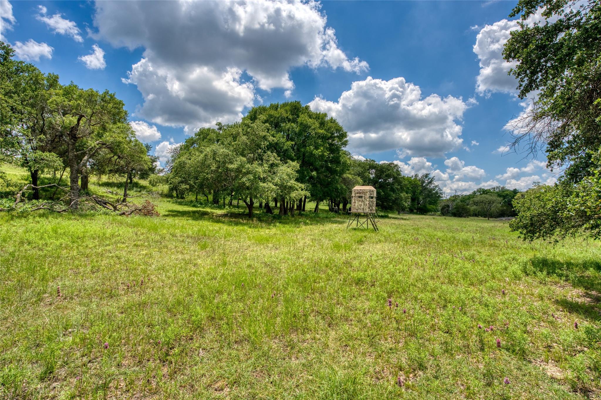 Lot 9a-5 Miller Creek Blf Property Photo 7