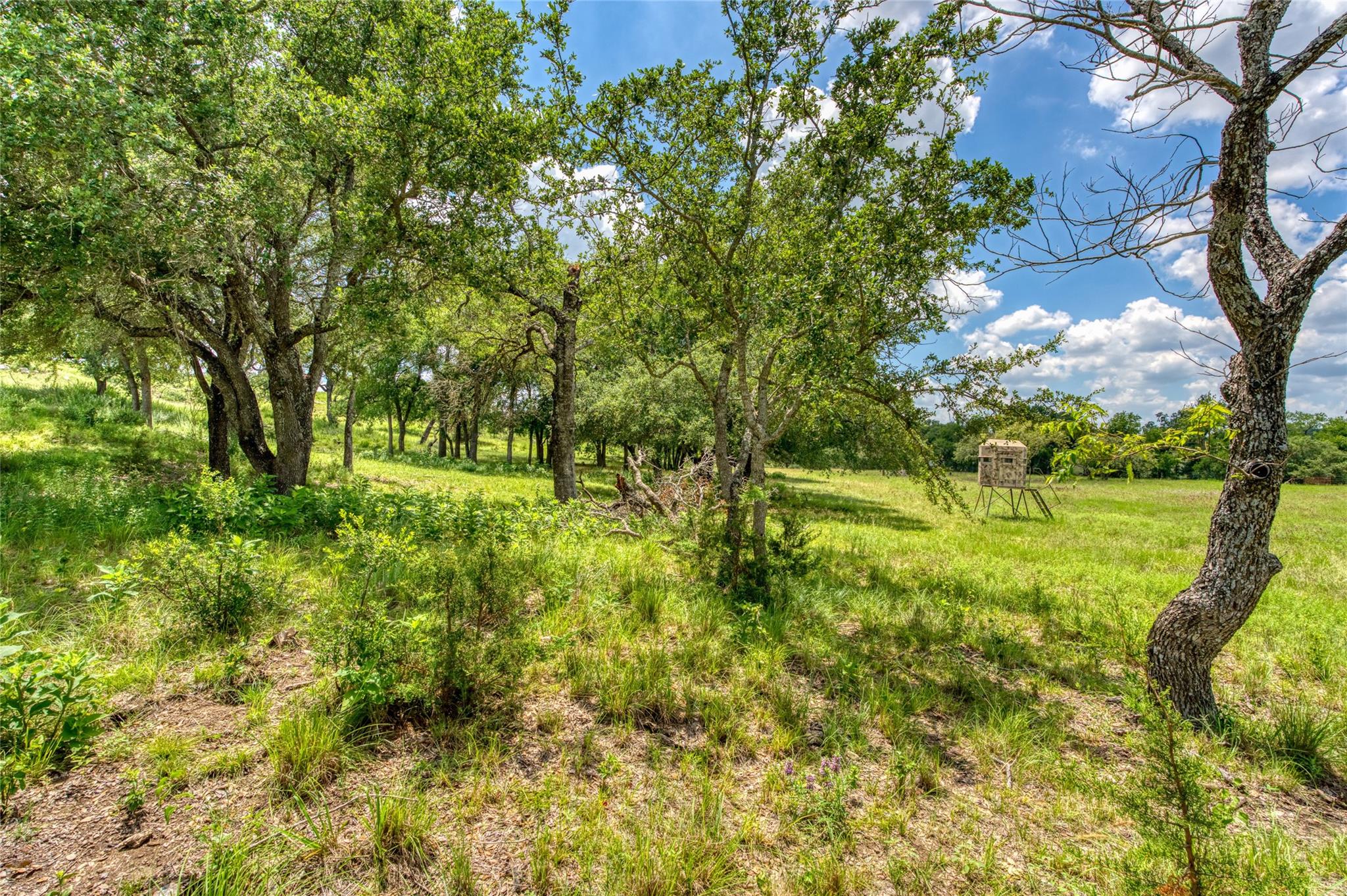 Lot 9a-5 Miller Creek Blf Property Photo 8
