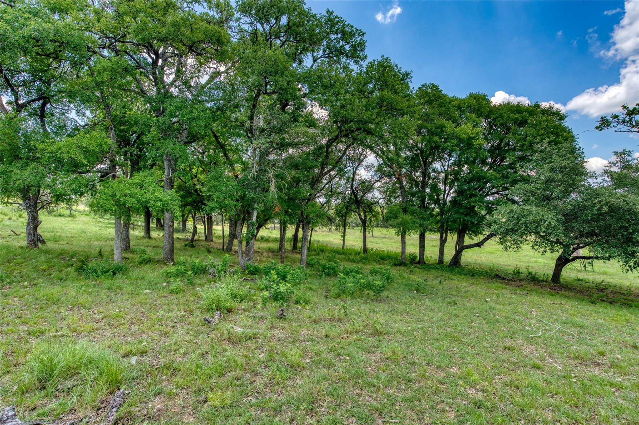 Lot 9a-5 Miller Creek Blf Property Photo 12