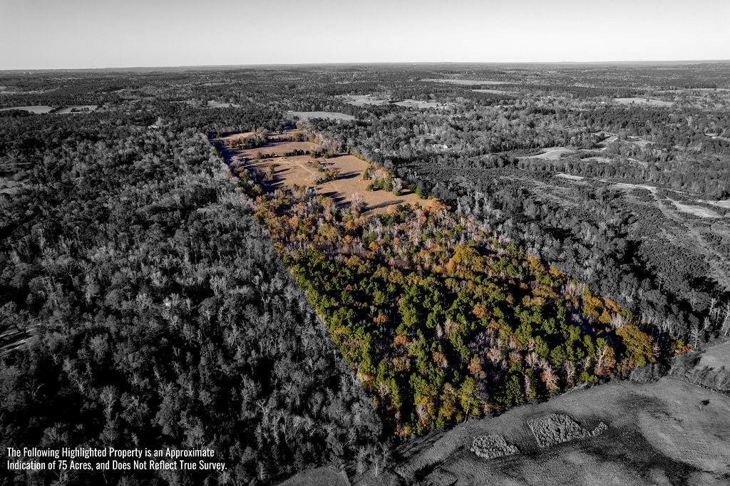 4142 Fm 1817 Rd Property Photo 3