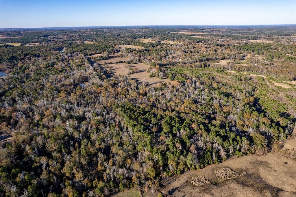 4142 Fm 1817 Rd Property Photo 4