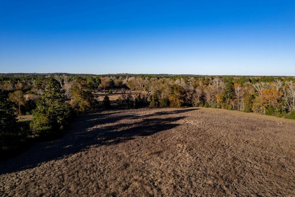 4142 Fm 1817 Rd Property Photo 5
