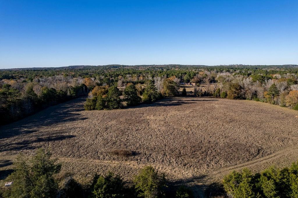 4142 Fm 1817 Rd Property Photo 6