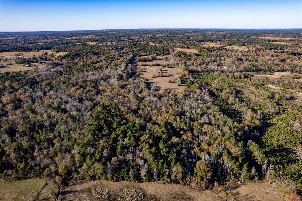 4142 Fm 1817 Rd Property Photo 9