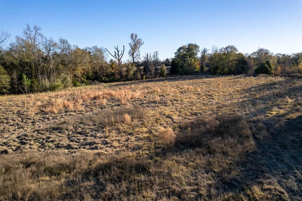 4142 Fm 1817 Rd Property Photo 10