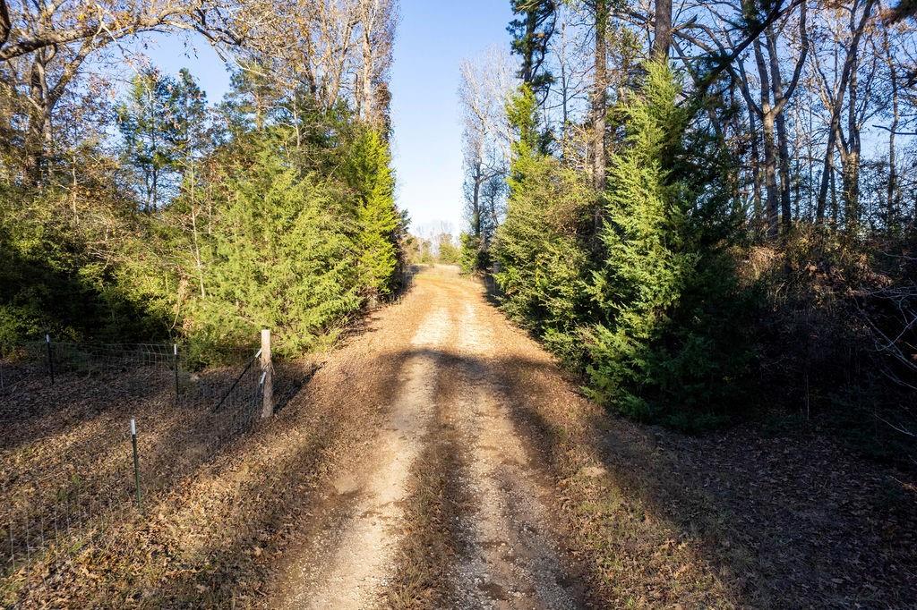 4142 Fm 1817 Rd Property Photo 16