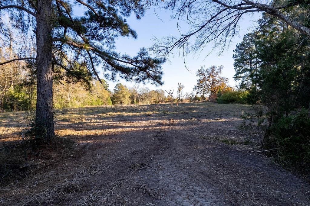 4142 Fm 1817 Rd Property Photo 17