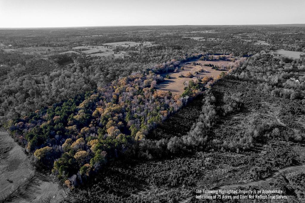 4142 Fm 1817 Rd Property Photo 19