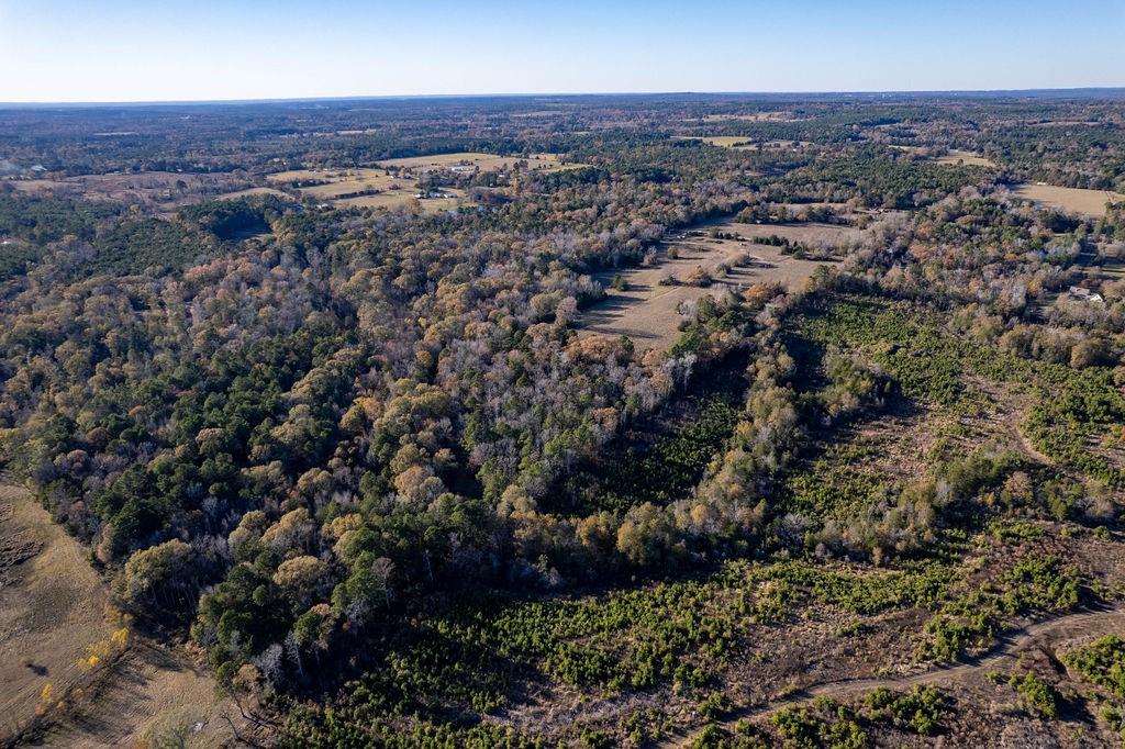 4142 Fm 1817 Rd Property Photo 20