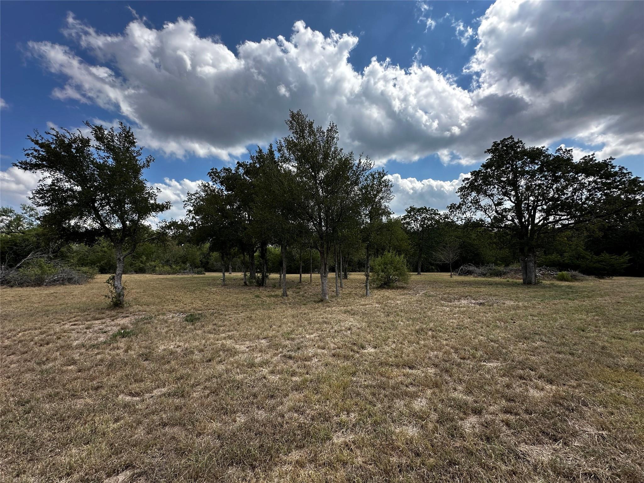 1501 Old Colony Line Rd Property Photo 4