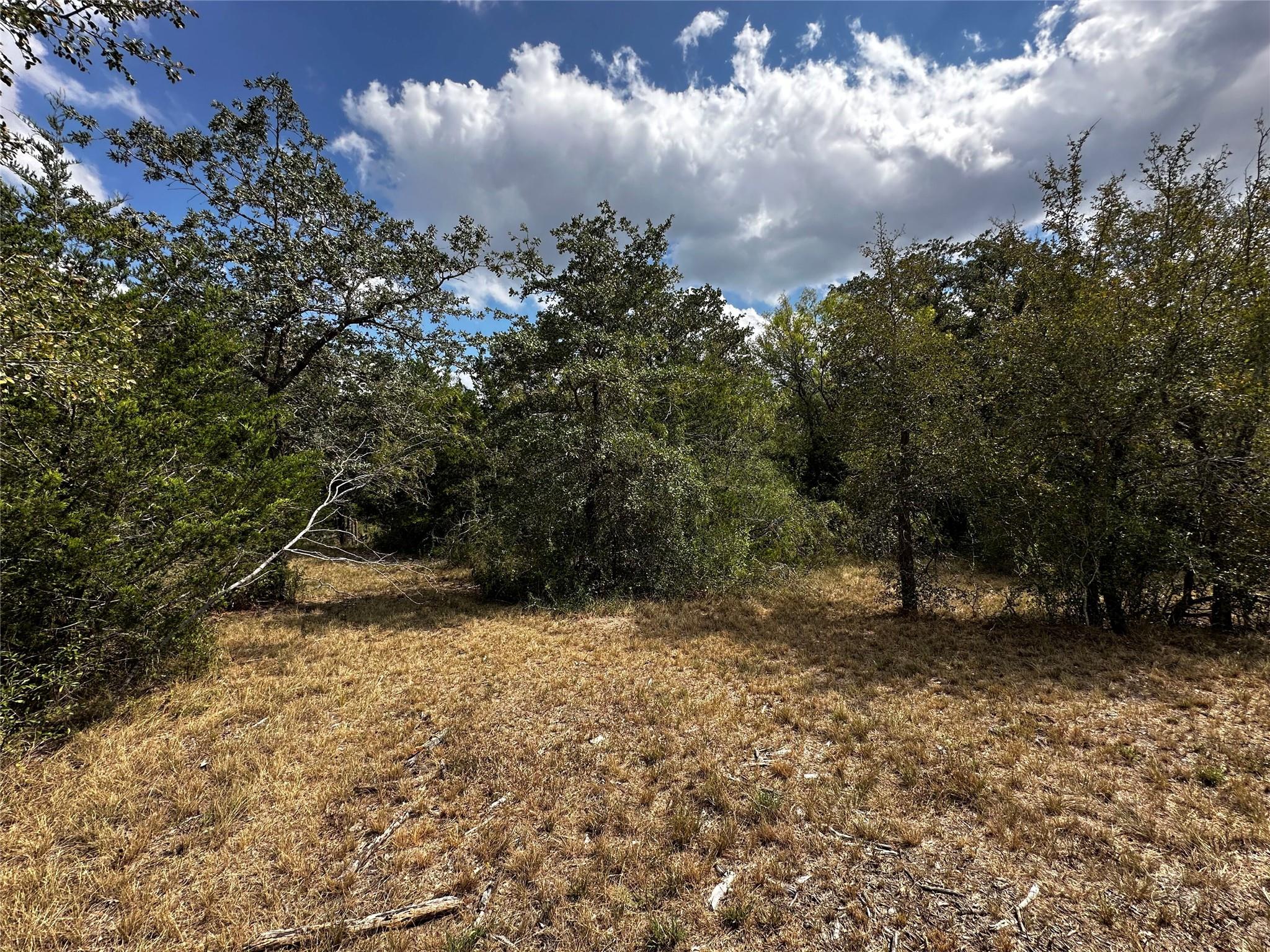1501 Old Colony Line Rd Property Photo 9