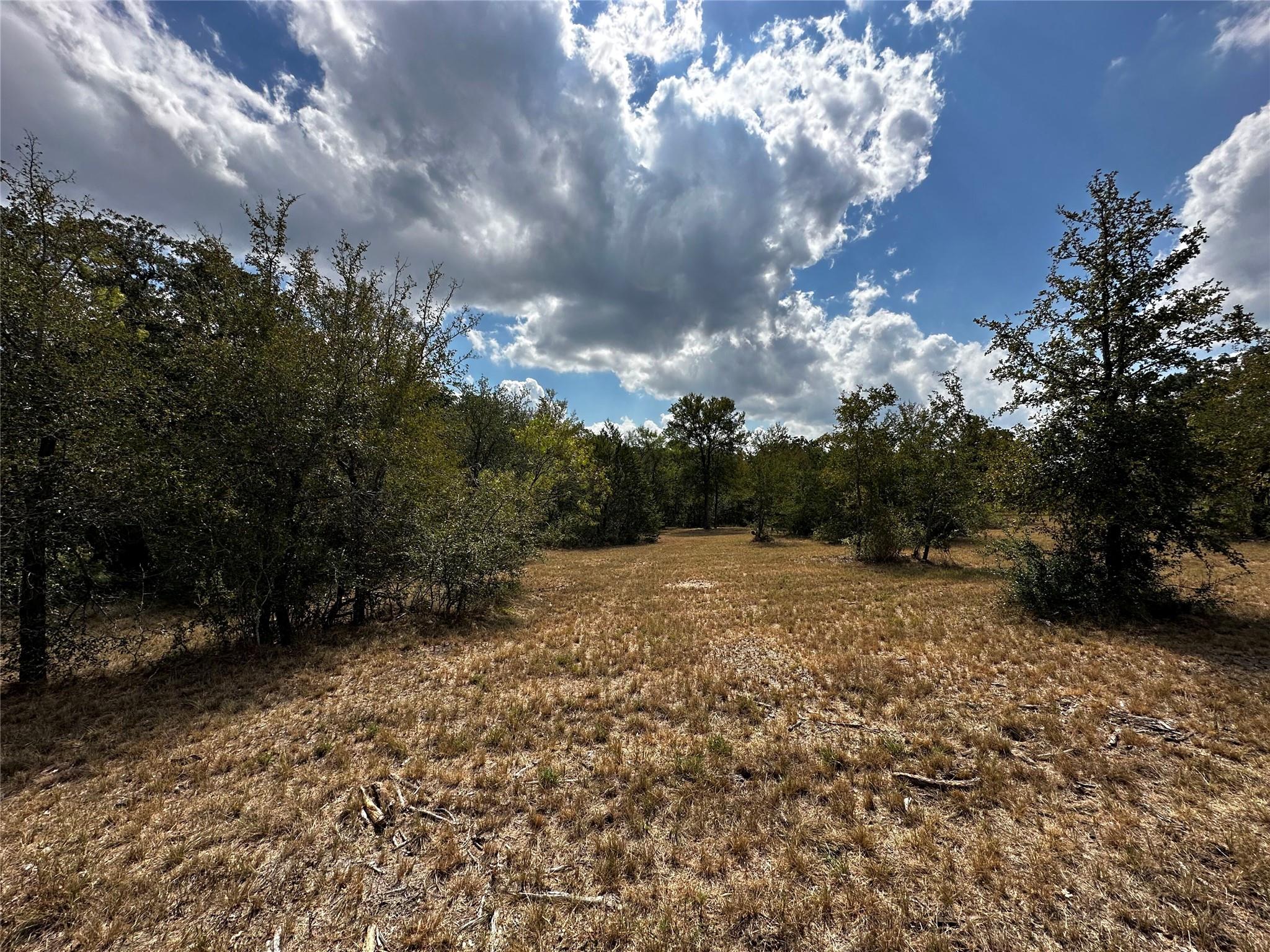 1501 Old Colony Line Rd Property Photo 10