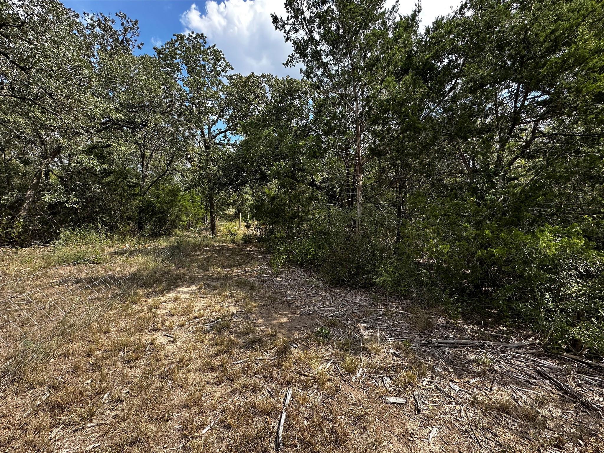 1501 Old Colony Line Rd Property Photo 11