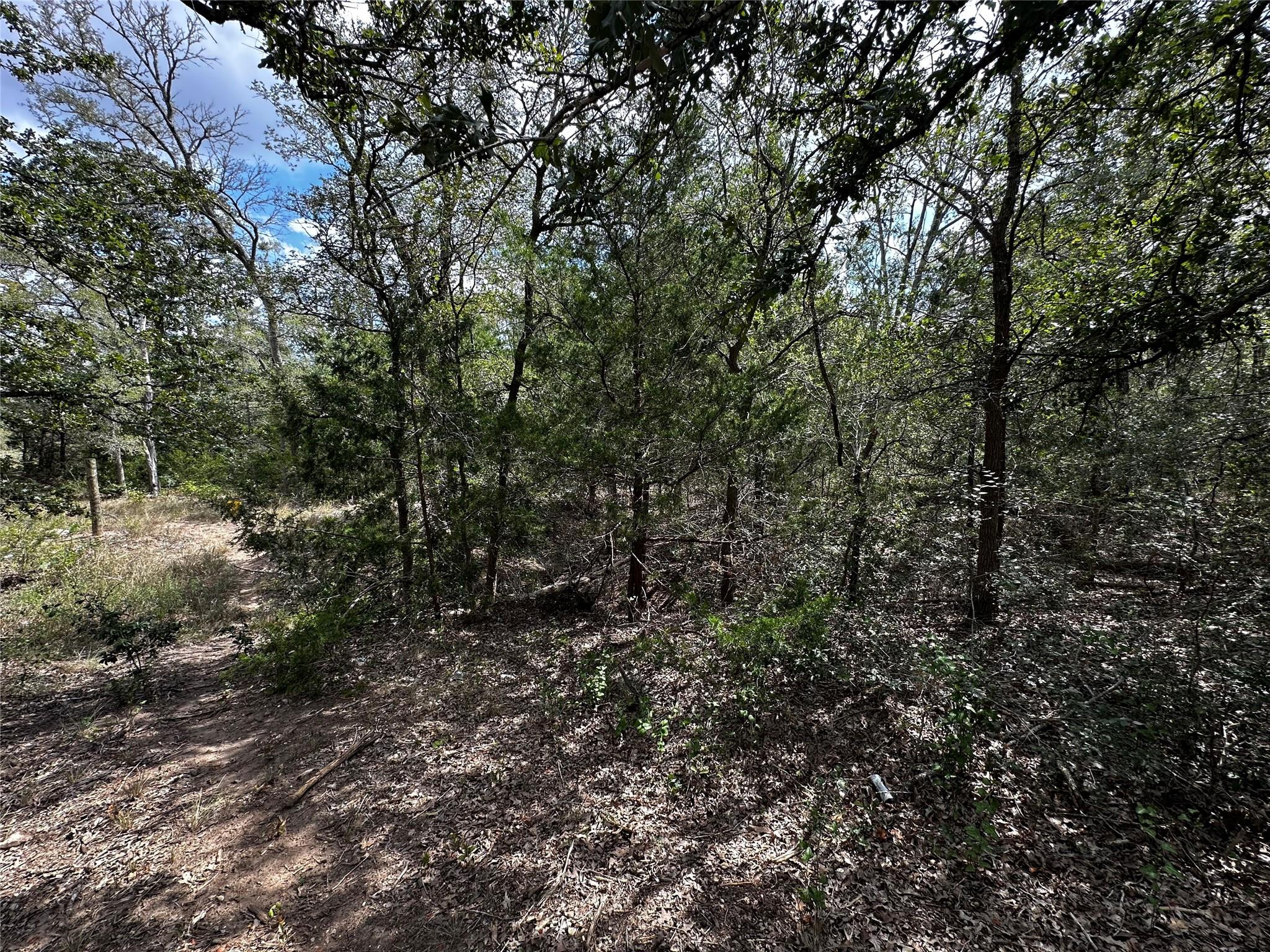 1501 Old Colony Line Rd Property Photo 12
