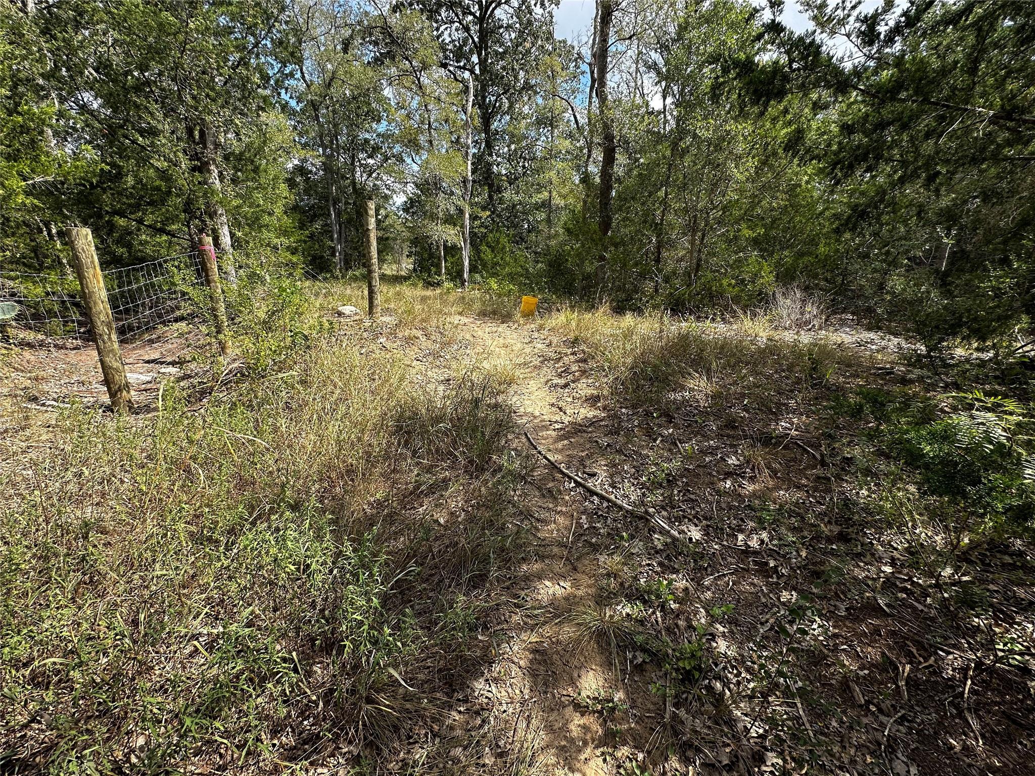 1501 Old Colony Line Rd Property Photo 13