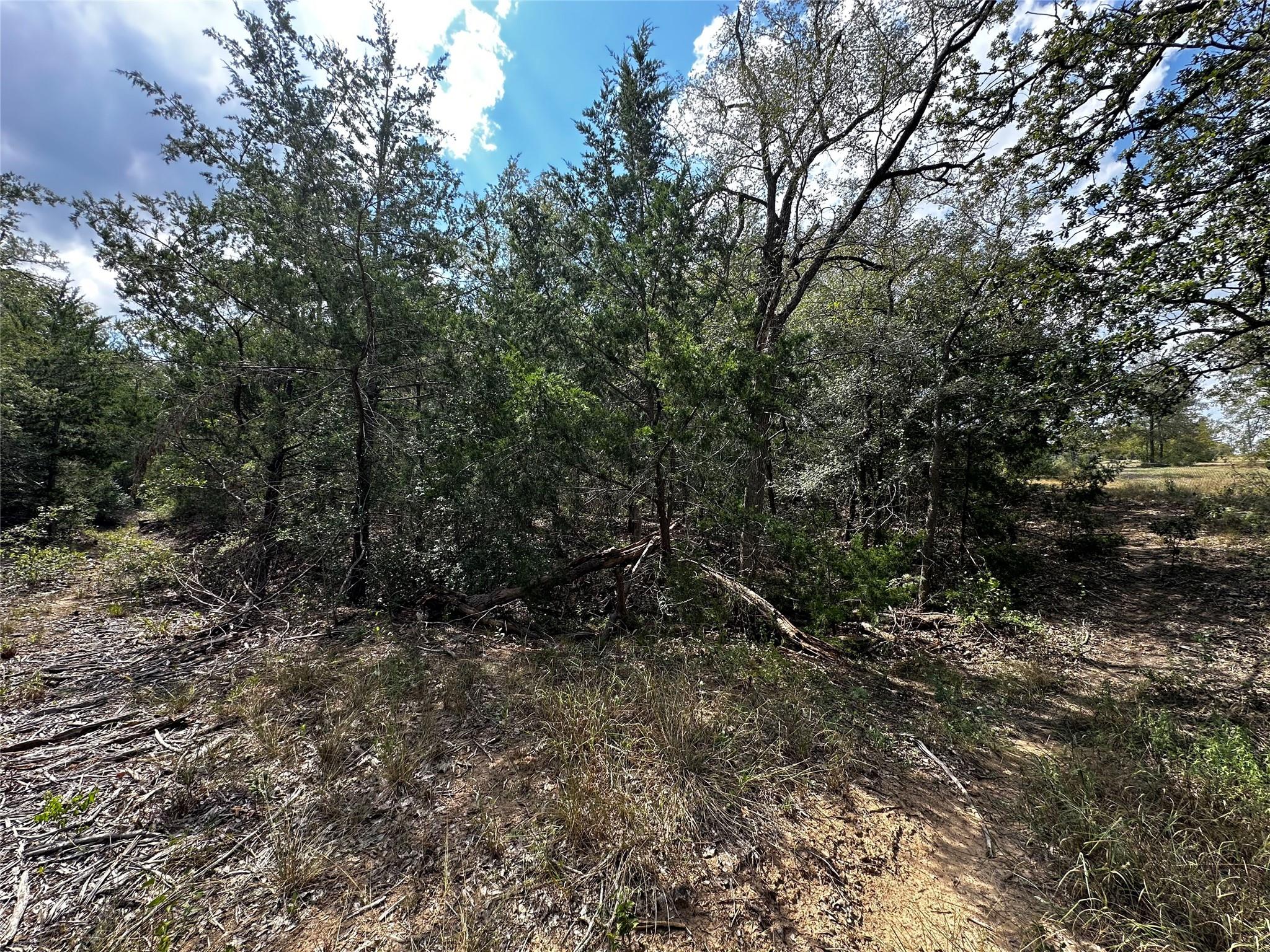 1501 Old Colony Line Rd Property Photo 14