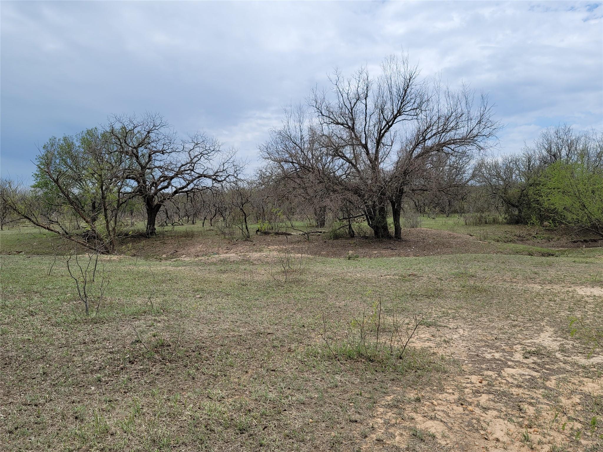 293 Threadgill Ln Property Photo 2