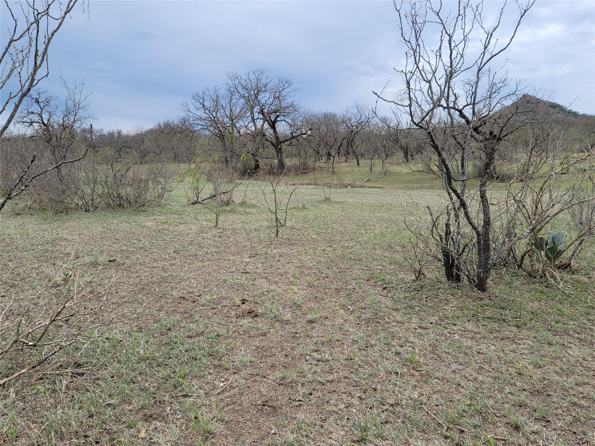 293 Threadgill Ln Property Photo 4
