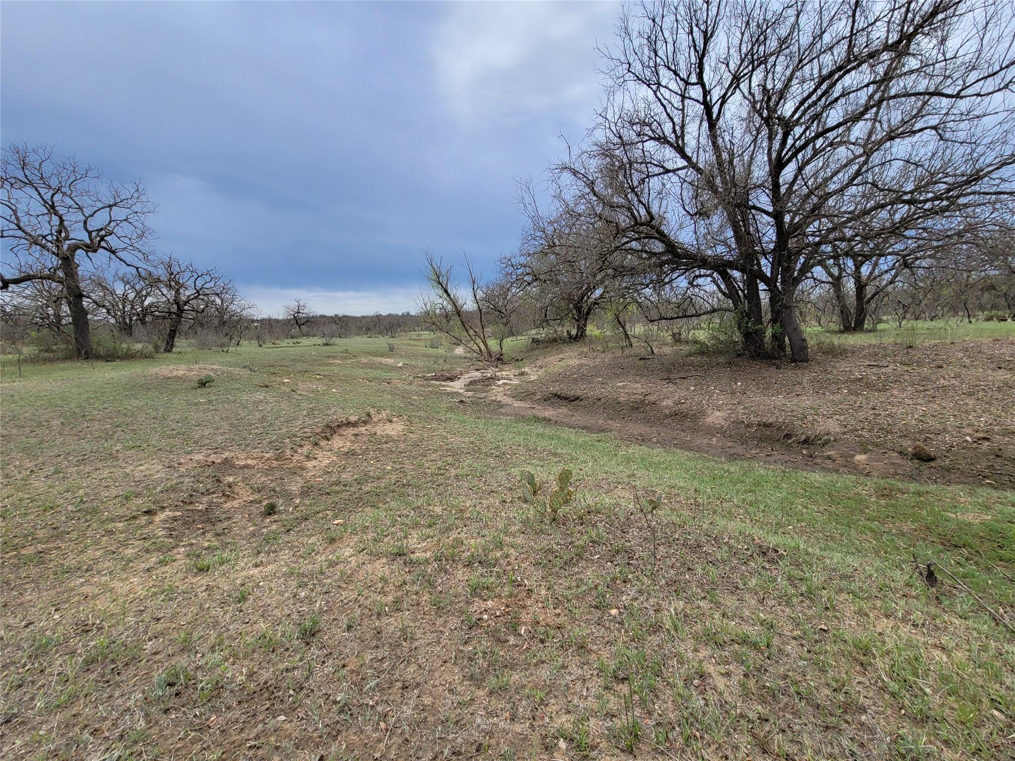 293 Threadgill Ln Property Photo 6
