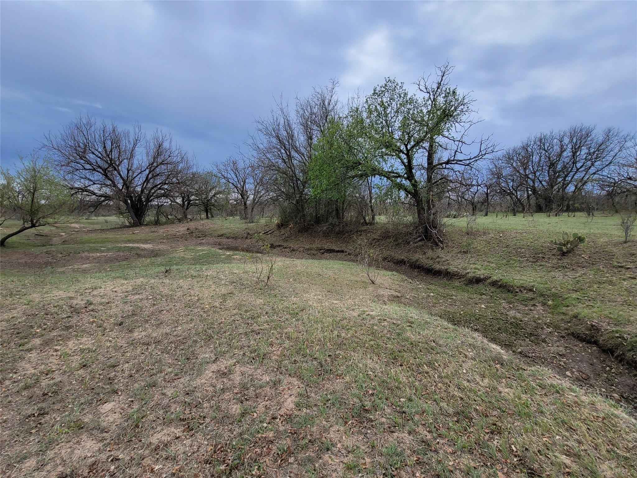 293 Threadgill Ln Property Photo 7