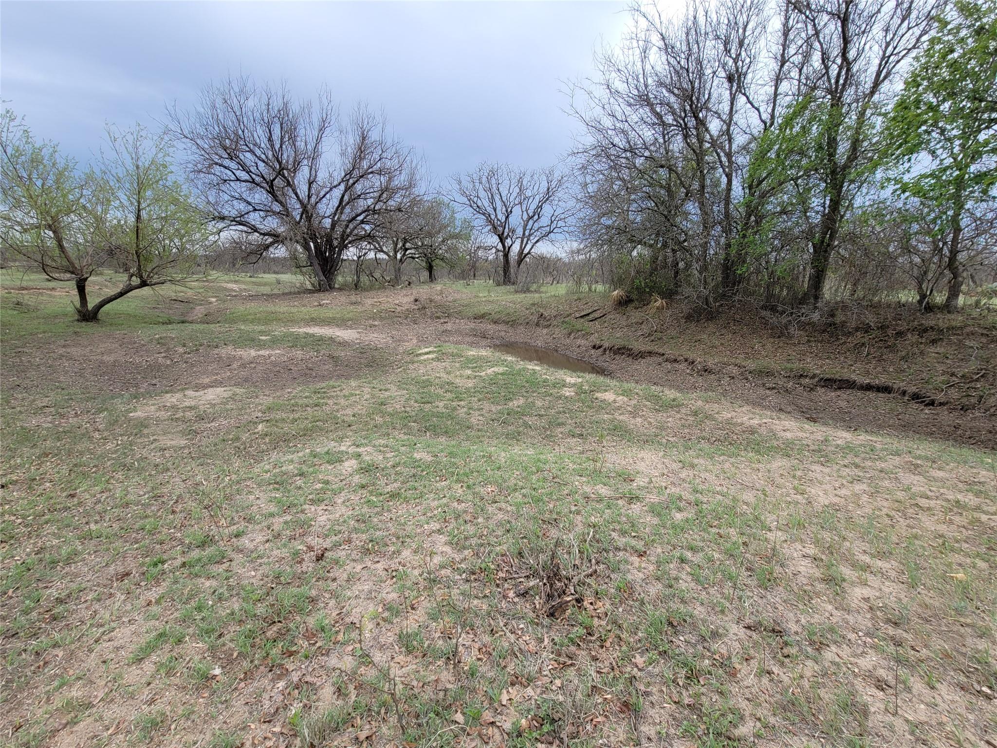 293 Threadgill Ln Property Photo 8