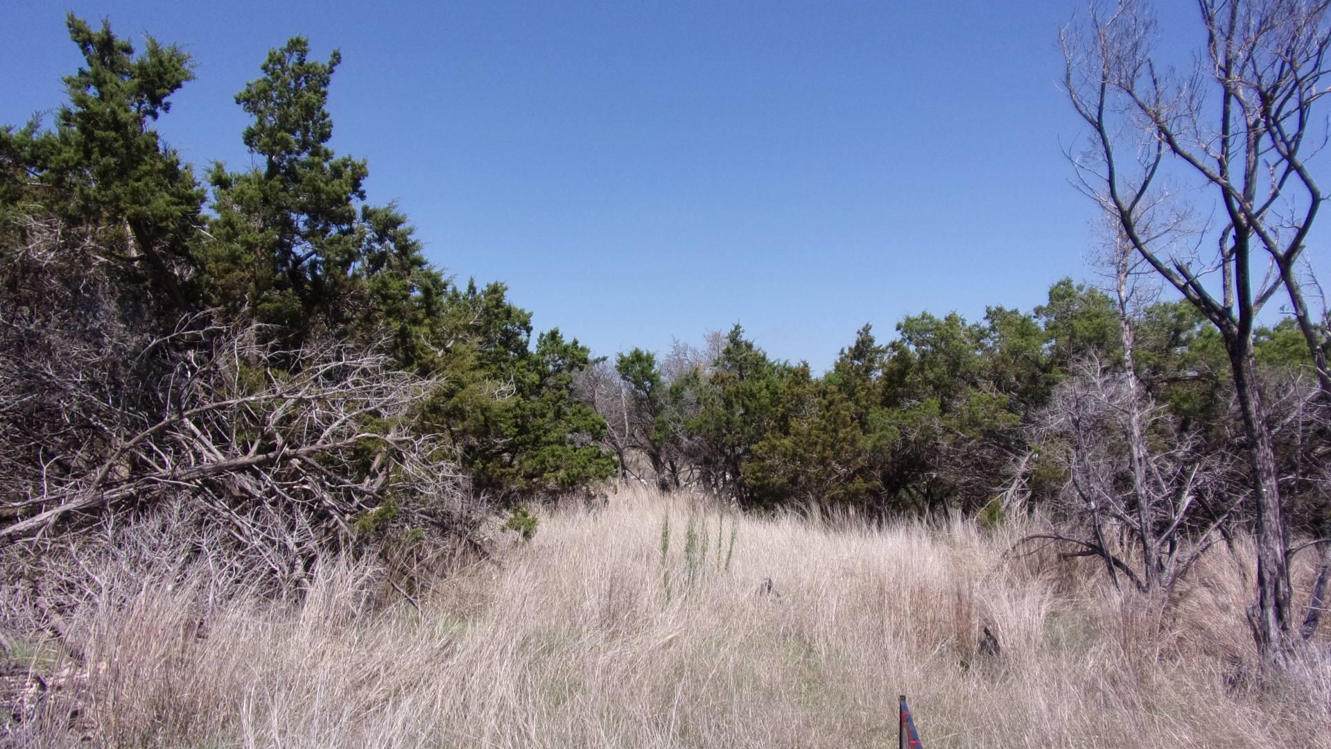 Kendalia Real Estate Listings Main Image