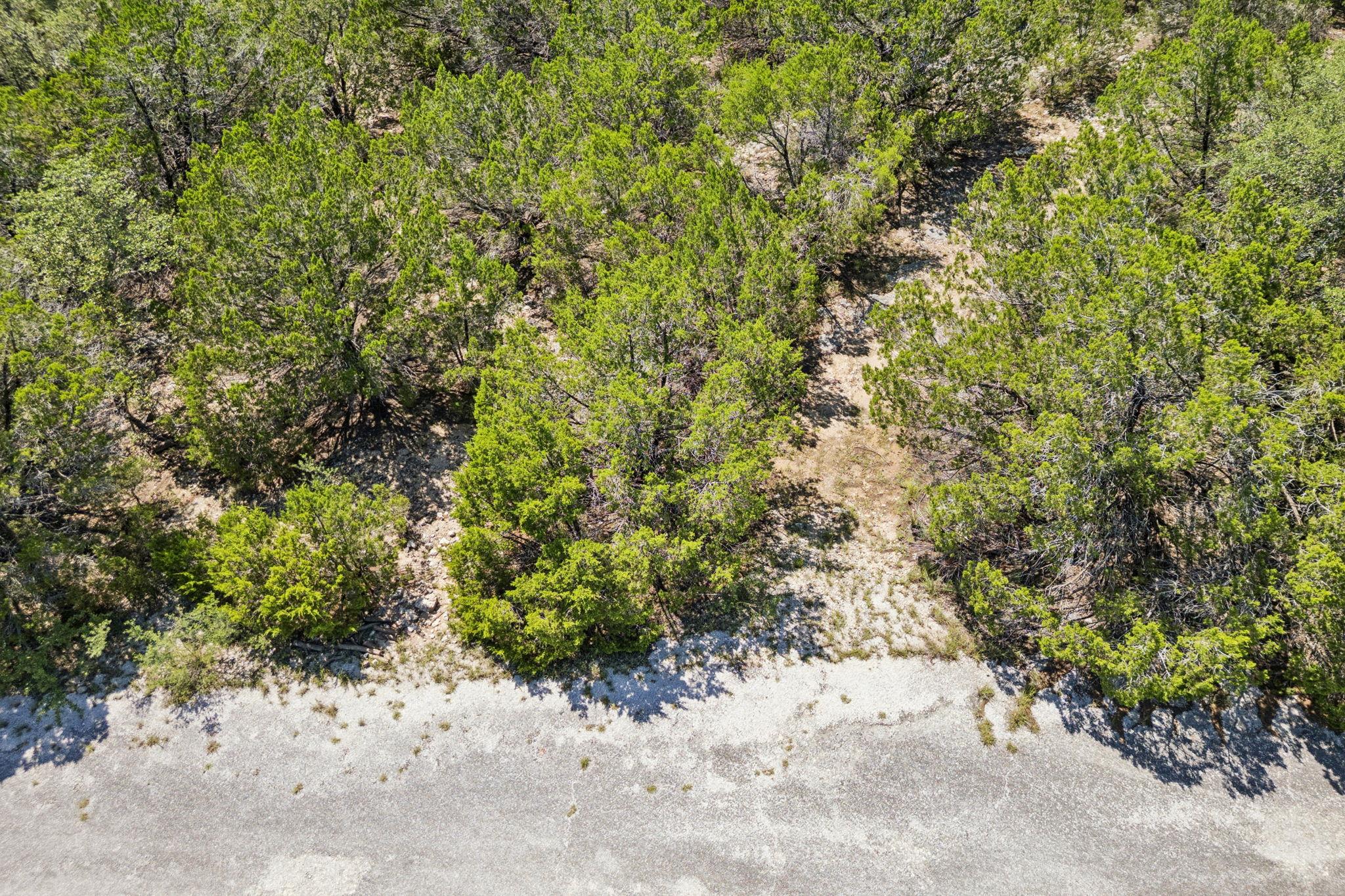 8404 Cedar Glen Cv Property Photo 1