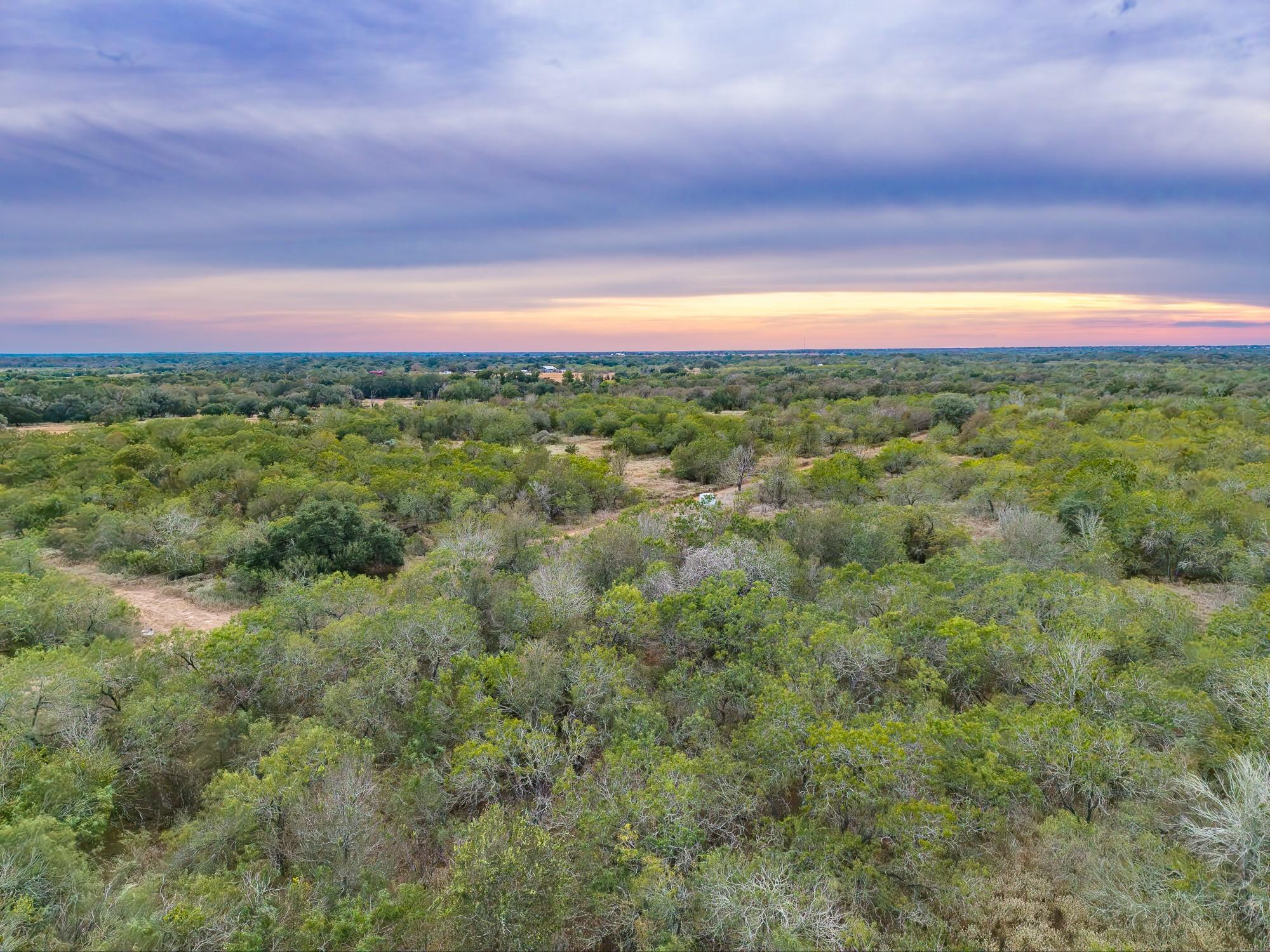 Tbd County Road 408 None Property Photo 13