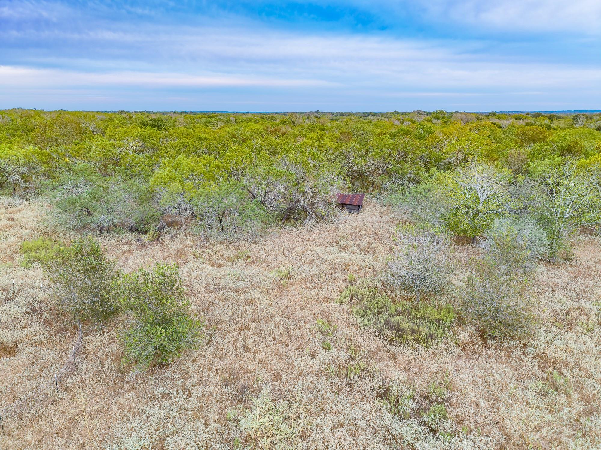 Tbd County Road 408 None Property Photo 18