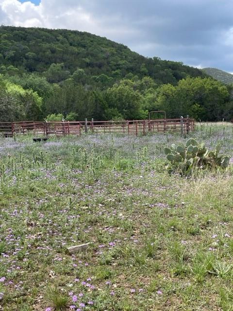 2250 Walter White Rd Property Photo 7