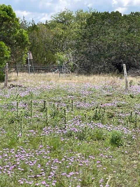 2250 Walter White Rd Property Photo 8