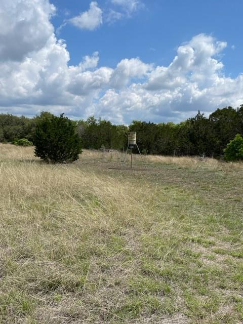 2250 Walter White Rd Property Photo 10