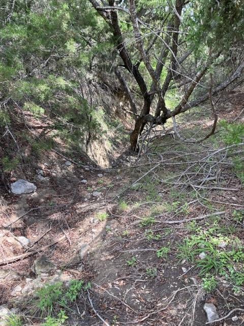 2250 Walter White Rd Property Photo 12