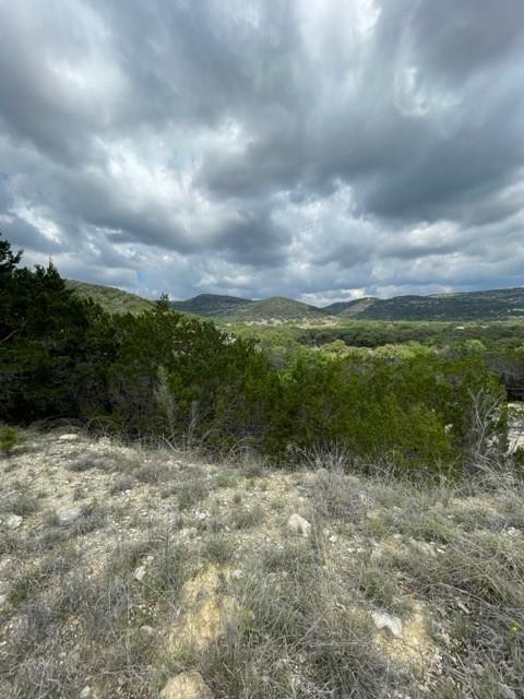 2250 Walter White Rd Property Photo 15