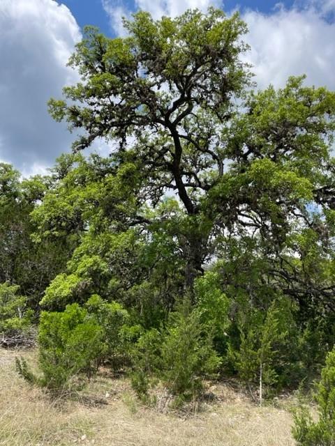 2250 Walter White Rd Property Photo 19