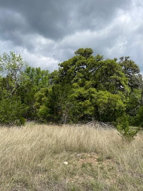 2250 Walter White Rd Property Photo 20