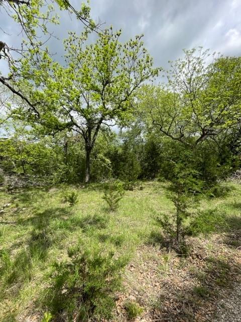 2250 Walter White Rd Property Photo 21