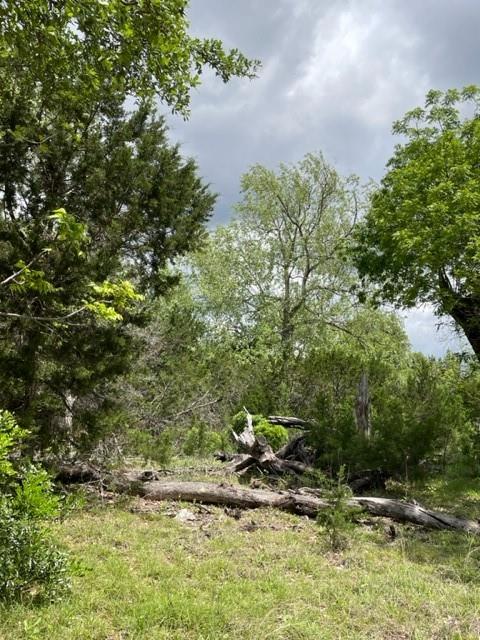 2250 Walter White Rd Property Photo 22