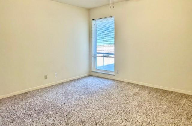 2800 Cole St 205c Property Photo 11