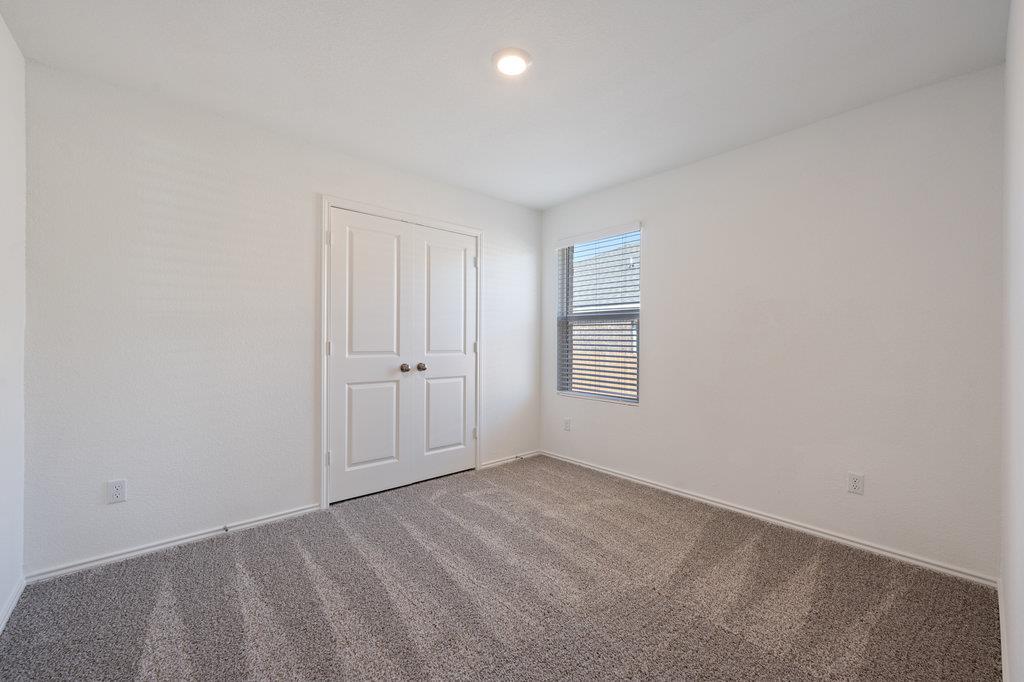 3210 Dusted Daisy St Property Photo 23