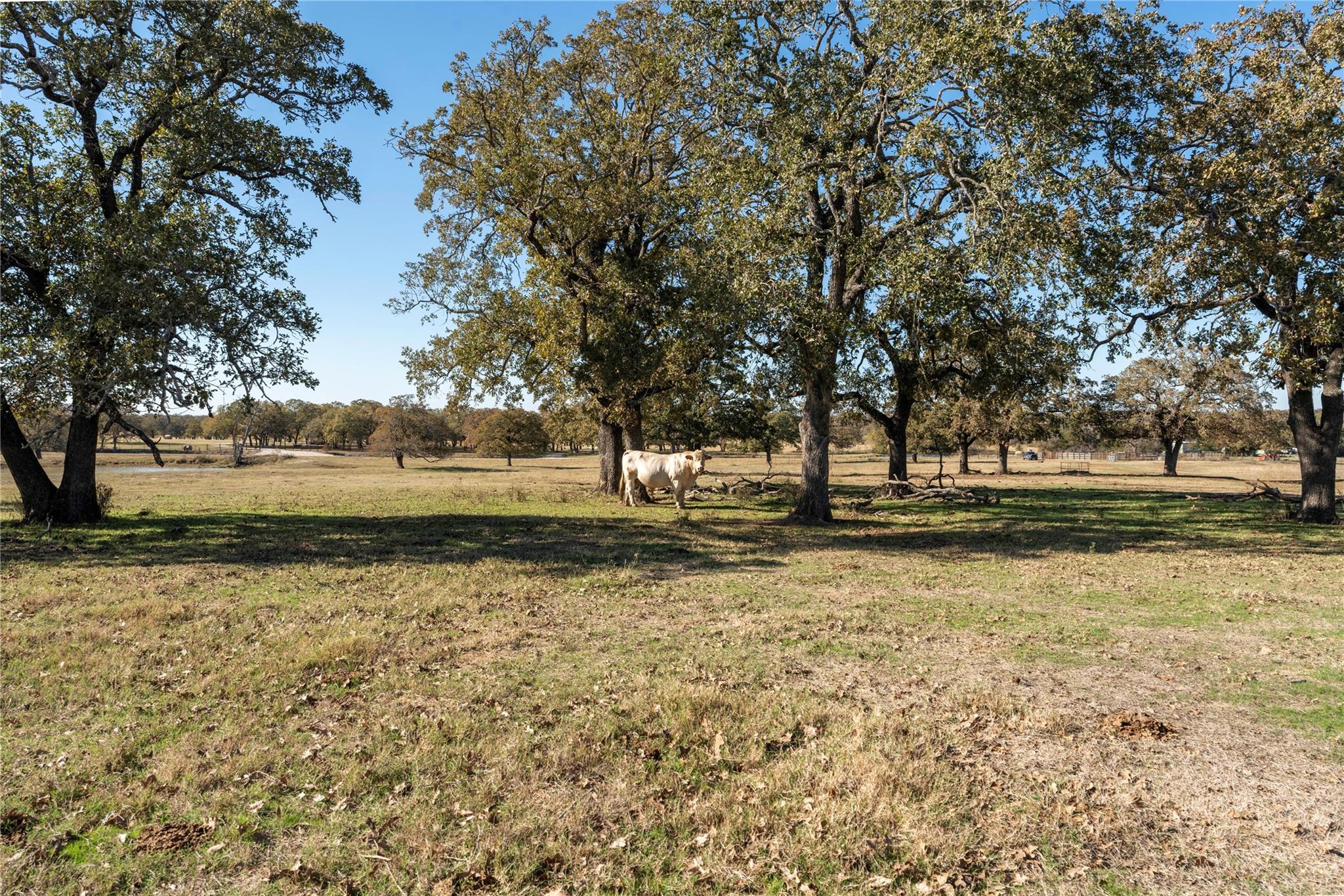 Tbd County Road 481 None Property Photo 14