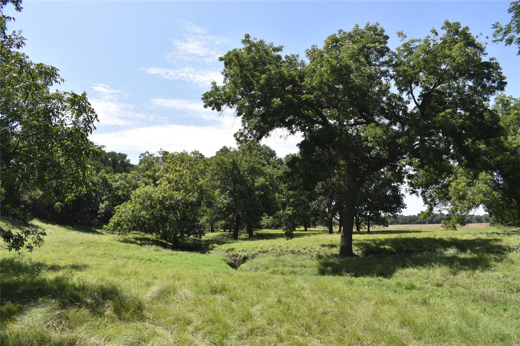 Tbd County Road 621 None Property Photo 7