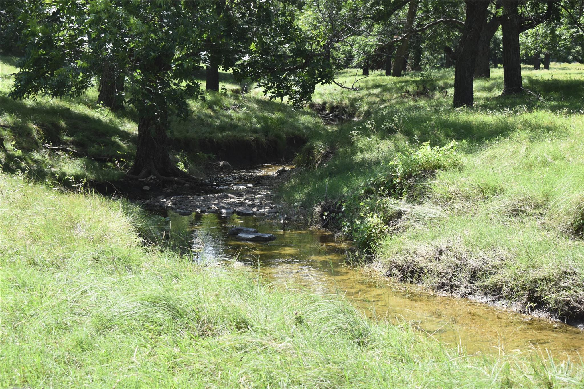Tbd County Road 621 None Property Photo 8