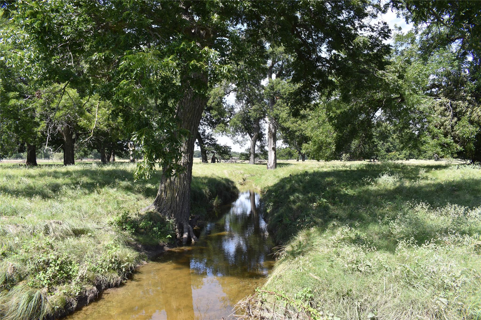 Tbd County Road 621 None Property Photo 9
