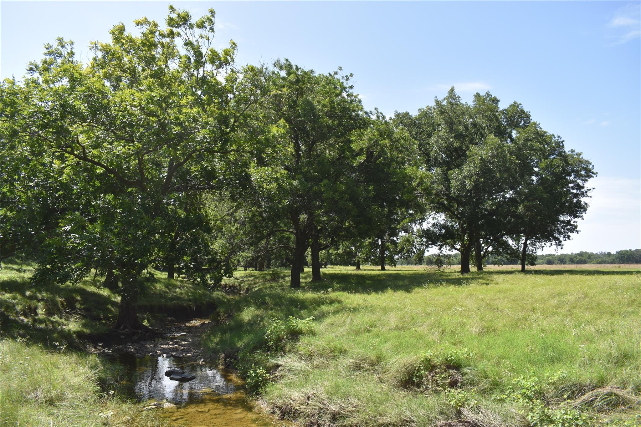Tbd County Road 621 None Property Photo 10