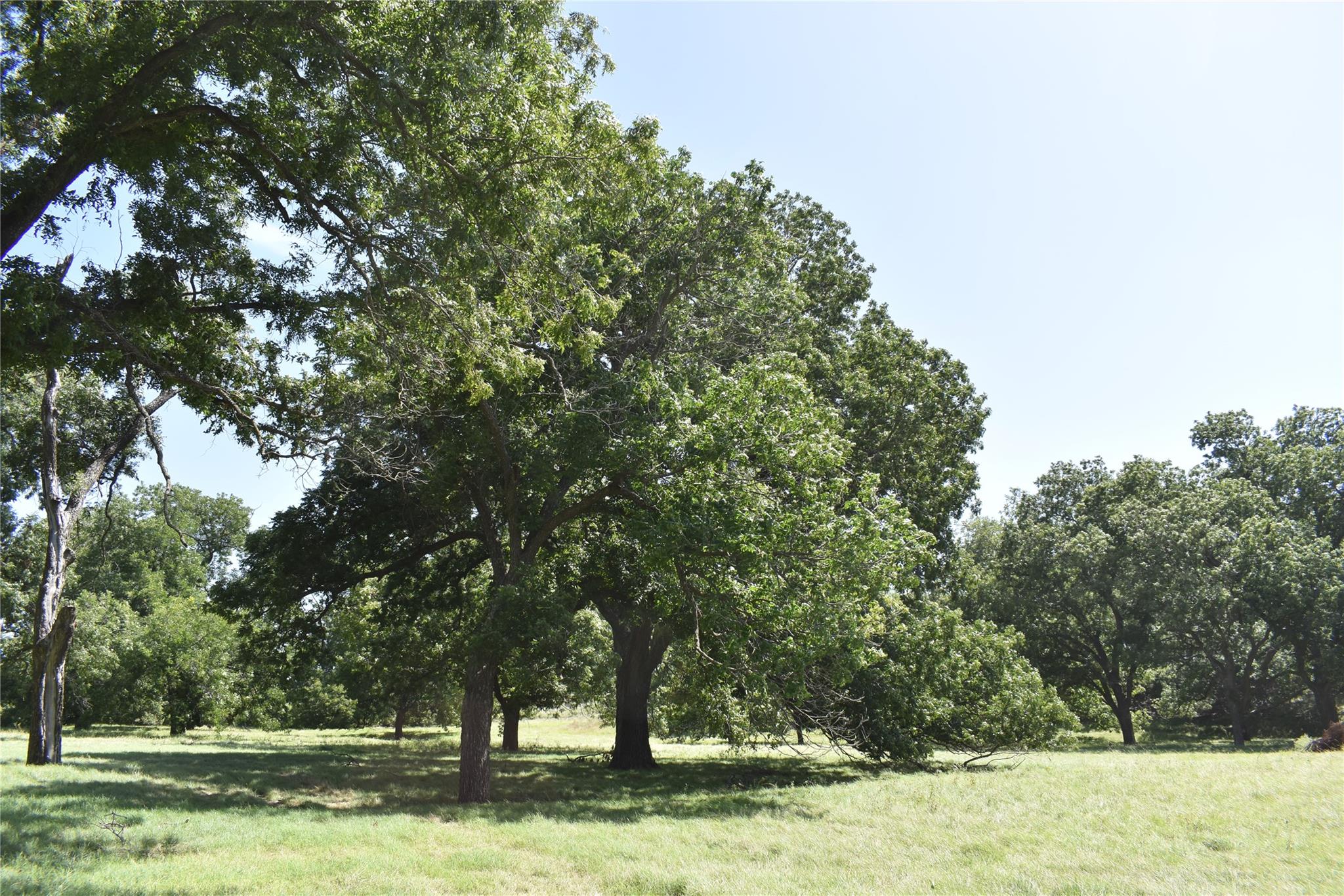 Tbd County Road 621 None Property Photo 11