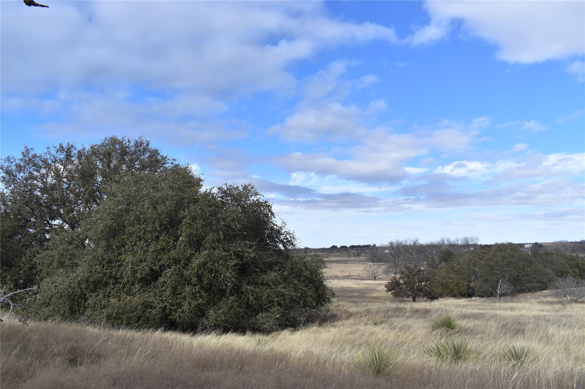 Tbd County Road 621 None Property Photo 13