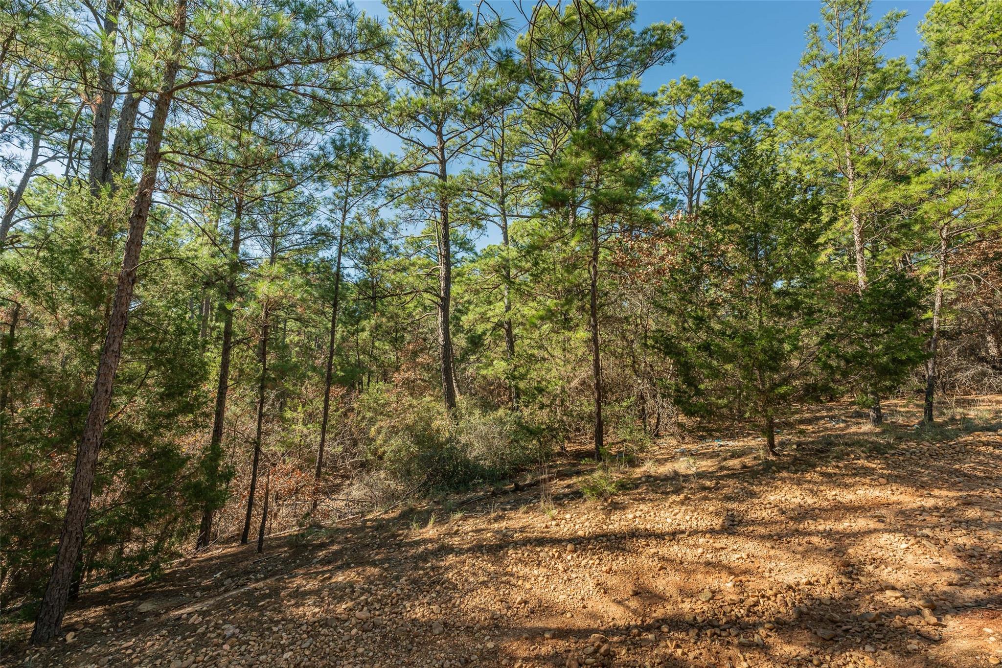 Lot 96 Hidden Hollow Ct Property Photo 3