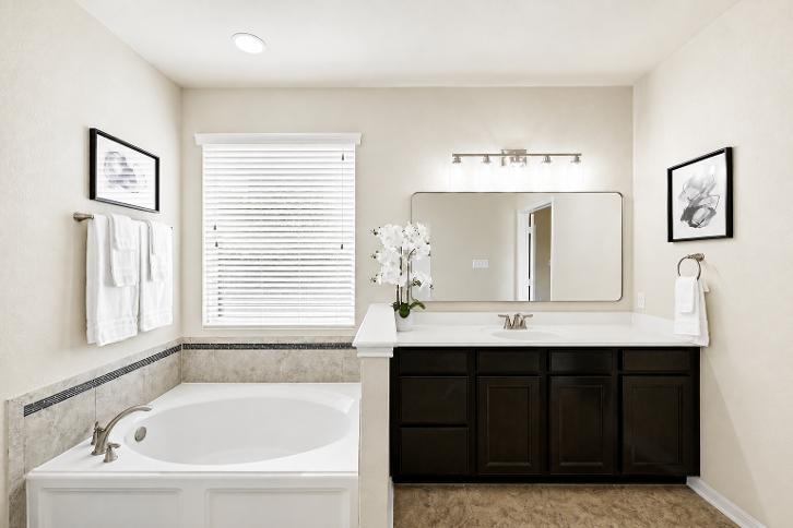 3309 Pasqueflower Pass Property Photo 19