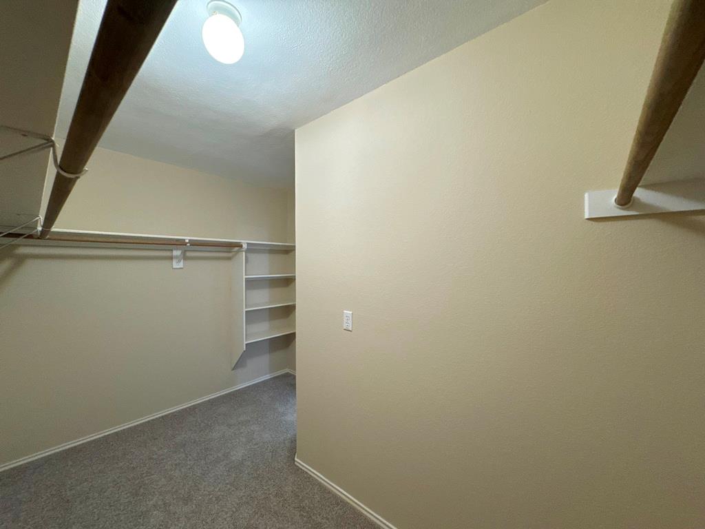 209 Katy B Ln Property Photo 35
